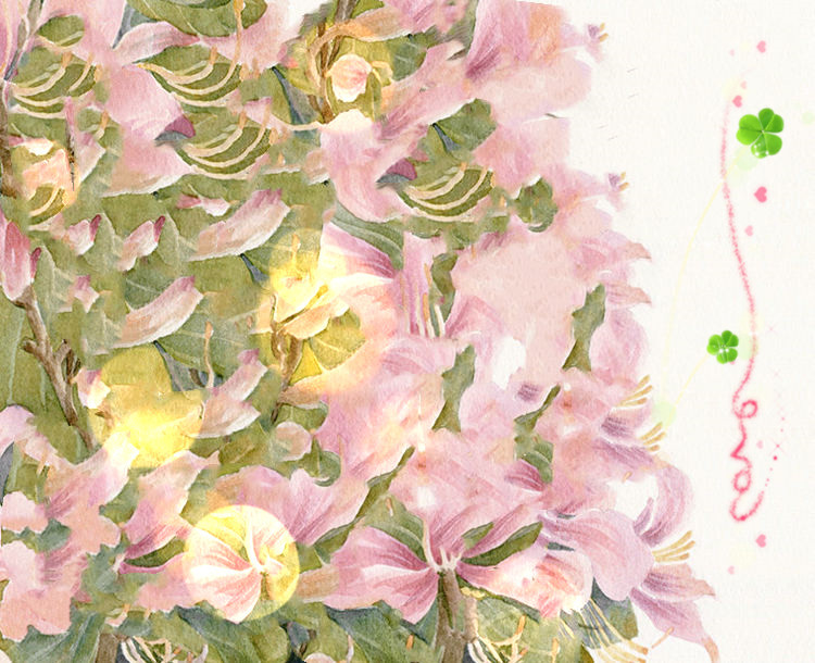 不要等机会来的时候 自己准备