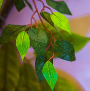 什么样子的情侣关系能够长久？